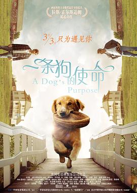 大香伊人久久精品一区二区
