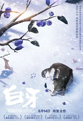 国产va香港va天堂va青草