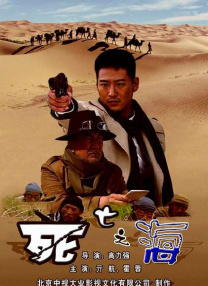久久精品国产99国产精偷