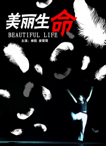 成人欧美视频在线观看