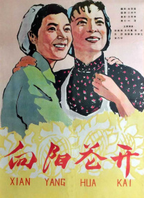 我的美丽l老婆