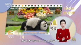 冬天的大海